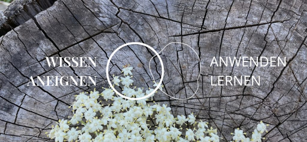 Zyklus Ernährung Sandra Langschwert