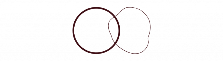 Zyklus Ernährung Sandra Langschwert