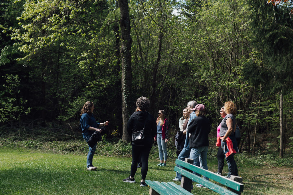Der Wald als Kraftort in der TCM