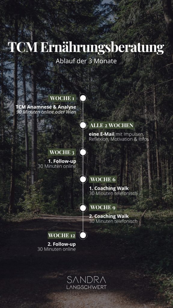 TCM Ernährungsberatung Ablauf